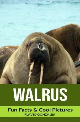 Cover of Walrus