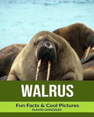 Book cover for Walrus