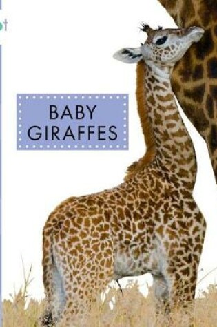 Cover of Baby Giraffes