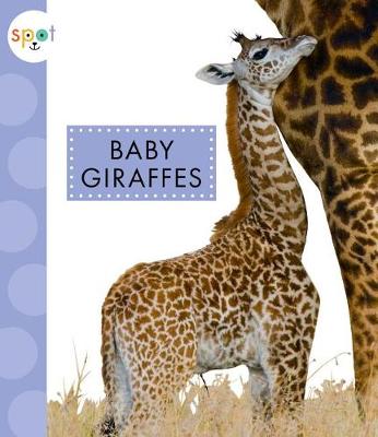 Book cover for Baby Giraffes