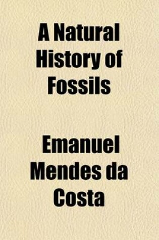 Cover of A Natural History of Fossils Volume 1, PT. 1