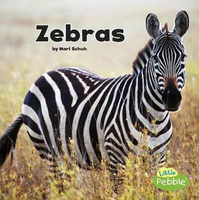 Book cover for Black and White Animals Zebras