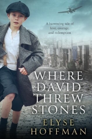 Cover of Where David Threw Stones