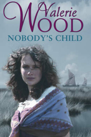 Cover of Nobodys Child