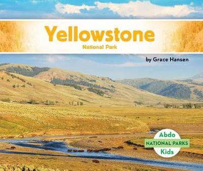 Book cover for Yellowstone National Park