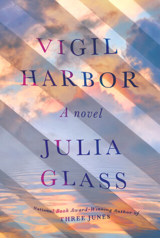 Book cover for Vigil Harbor
