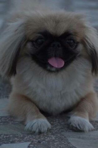 Cover of My Pekingese