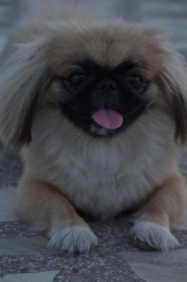 Book cover for My Pekingese