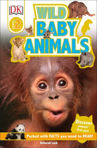 Book cover for DK Readers L2: Wild Baby Animals