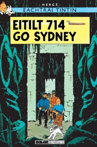 Cover of Eitilt 714 go Sydney