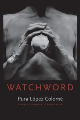 Book cover for Watchword