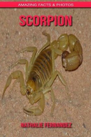 Cover of Scorpion