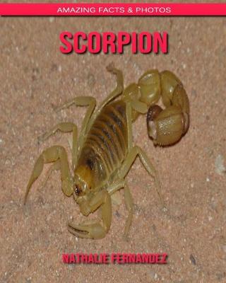 Book cover for Scorpion