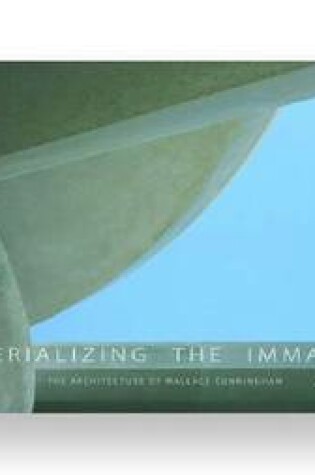 Cover of Materializing the Immaterial