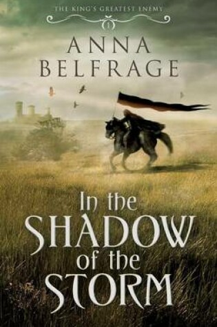 Cover of In the Shadow of the Storm