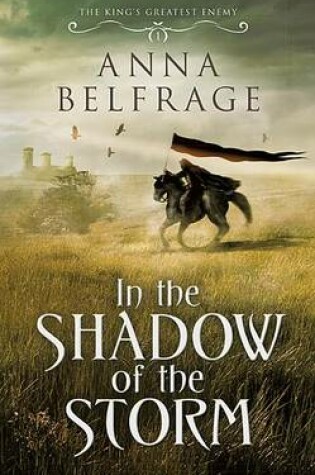 Cover of In the Shadow of the Storm