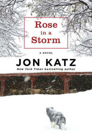 Cover of Rose in a Storm