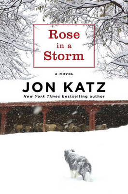 Book cover for Rose in a Storm