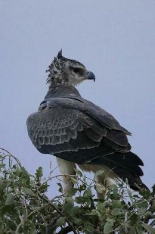 Cover of Martial Eagle (Polemaetus Bellicosus) Journal