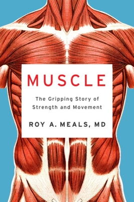 Book cover for Muscle