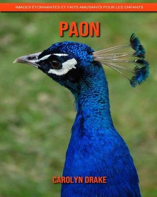 Book cover for Paon