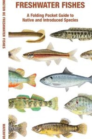 Cover of Washington DC Freshwater Fishes