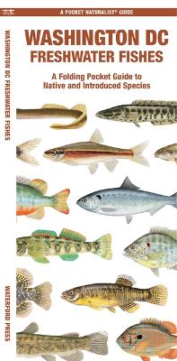 Cover of Washington DC Freshwater Fishes