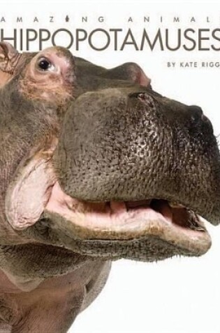 Cover of Hippopotamuses