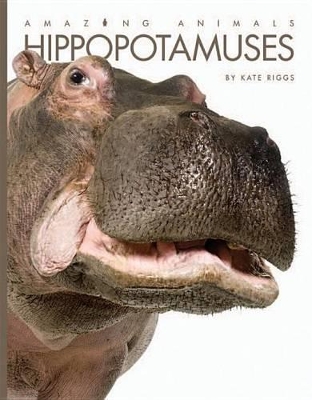 Book cover for Hippopotamuses