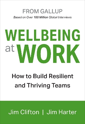 Book cover for Wellbeing At Work