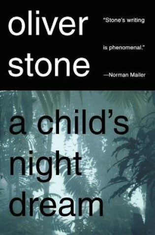 Cover of A Child's Night Dream