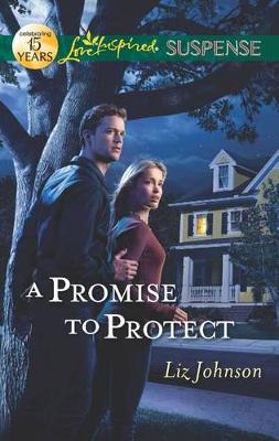 Cover of A Promise to Protect