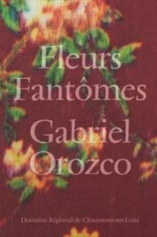 Cover of Gabriel Orozco - Fleurs Fantomes