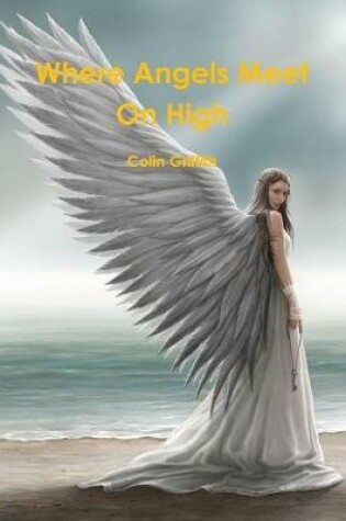 Cover of Where Angels Meet On High