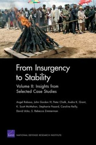 Cover of From Insurgency to Stability