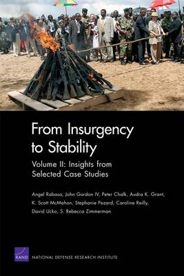 Book cover for From Insurgency to Stability