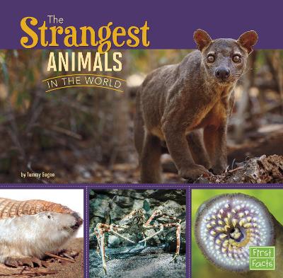 Book cover for The Strangest Animals in the World