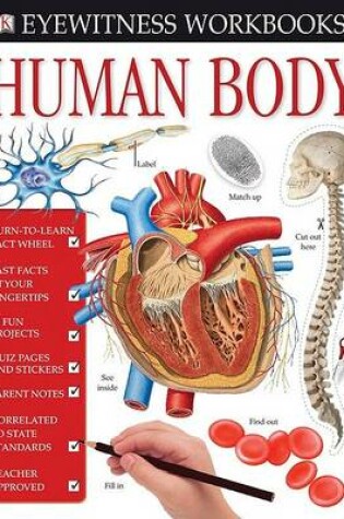 Cover of Human Body Workbook