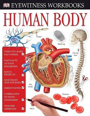 Book cover for Human Body Workbook