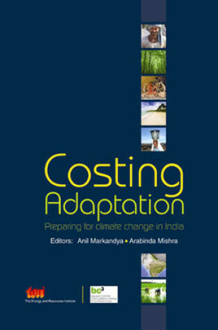Cover of Costing Adaptation