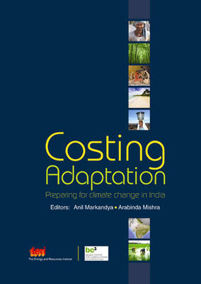 Book cover for Costing Adaptation