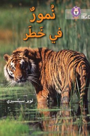 Cover of Tigers in Danger