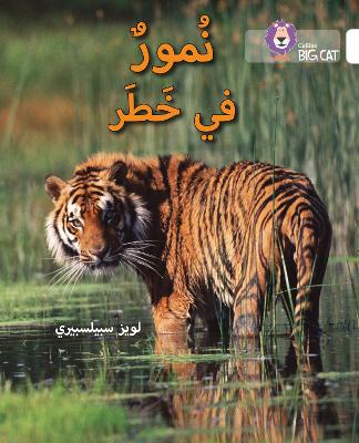 Cover of Tigers in Danger