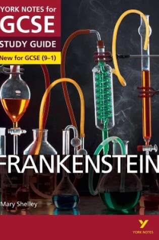 Cover of Frankenstein: York Notes for GCSE everything you need to catch up, study and prepare for and 2023 and 2024 exams and assessments