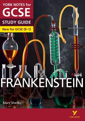 Book cover for Frankenstein: York Notes for GCSE everything you need to catch up, study and prepare for and 2023 and 2024 exams and assessments