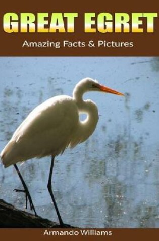 Cover of Great Egret