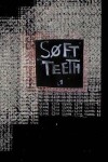 Book cover for Soft Teeth Vol. 1