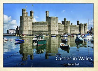 Book cover for Castles in Wales