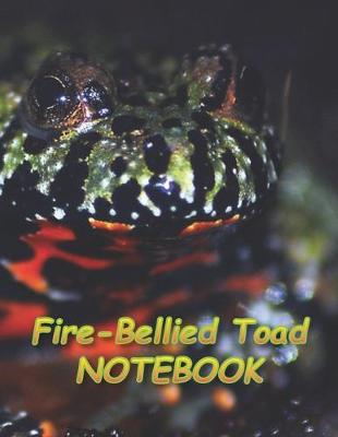 Book cover for Fire-Bellied Toad NOTEBOOK