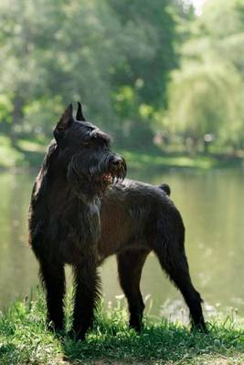 Book cover for Giant Schnauzer